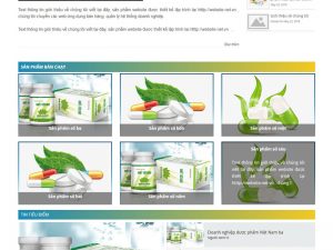 Giao diện website bán thuốc ở Hai Bà Trưng